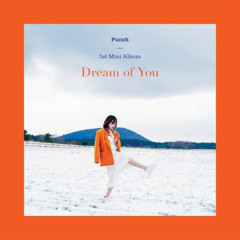 펀치(Punch)-Love is you