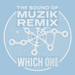 Drake - Which One (The Sound Of Muzik Remix)