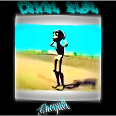 🤩🤩🤗🎇Uhul Cheguei - Canal ALSL Kick Flippa