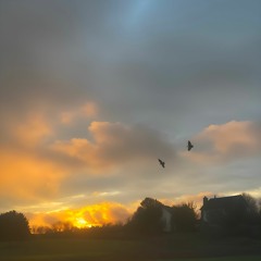 Bright Days (feat. atm luv) prod. bonnytown