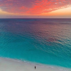 DEEP WAVE ( Ethnic Oriental Deep house )