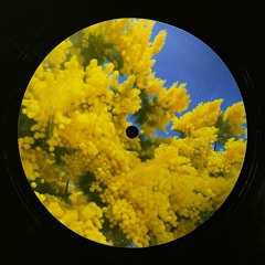 Furacão 2000 - Mimosa 2000 (Pallace Remix)