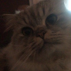 P6ICK - WINTER FLOWER FT.SUMDONG [Silverhaze cover]