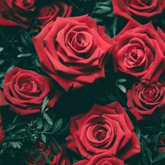 Txll Me | (what you want?) - ENERGYNEVERDIESS