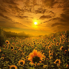 Believe in love 🥶