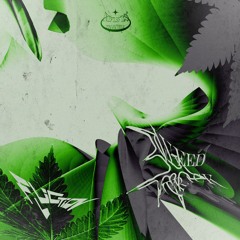 FLUCTION - Weed Track