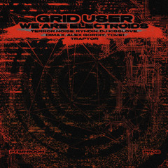 TL PREMIERE : Grid User , Terror Noise , Ryndin - Booty Fat [PTSR:FM]