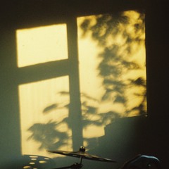 Midnight Blue - (Puma Blue Cover)