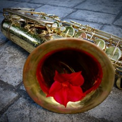 Not Gonna Lie [Prod. GC & Greg Puglisi]