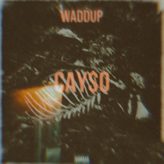 Case - Waddup remix