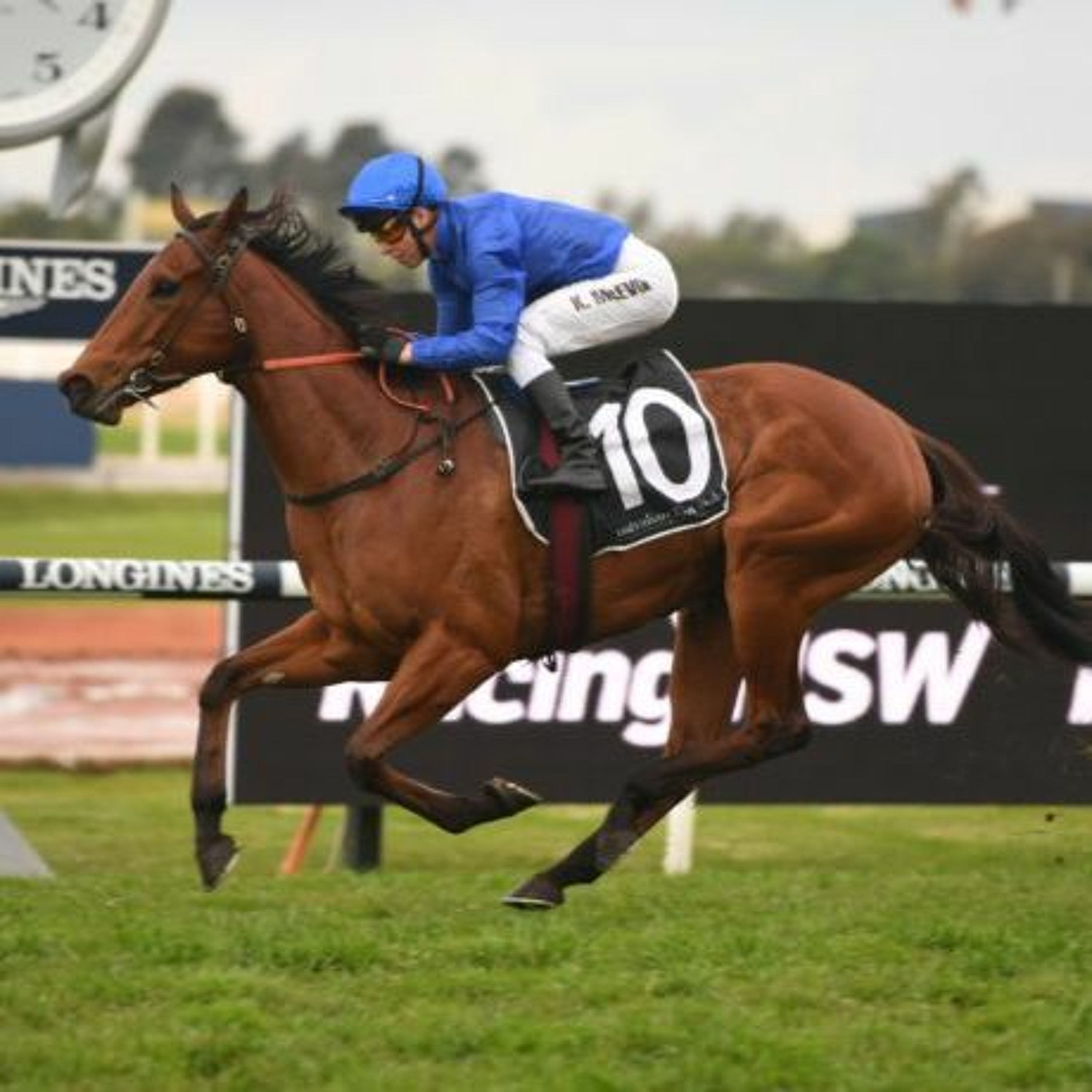 Rosehill Punting Preview Saturday 16th January