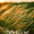 Artwork for Gentle Wind White Noise for Studying, Pt. 5
