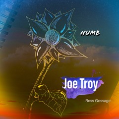Numb (prod Ross Gossage)