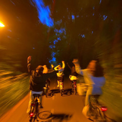 Simphonia x Poeta - Wilderich