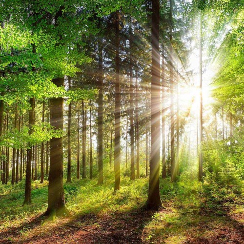 Dan Henig - Empire Seasons (M.D Beats edit)