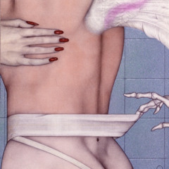 Seen Quel feat Metal Fairy Wings Elegantiskai sninga