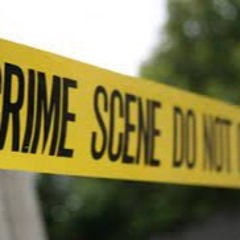 Alley Days (preview/snippet)