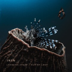 JNSN, Paul Brenning - Looming Space (Extended Mix) (Purified Records)