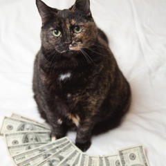 sylvester2020hiphopmix