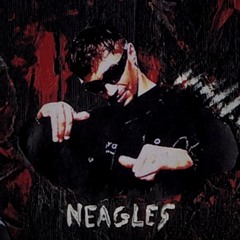 NEAGLES - TROUBLEMAKER