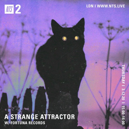 A Strange Attractor 051 w/ Fortuna Records @ NTS (December 3 / 2020)
