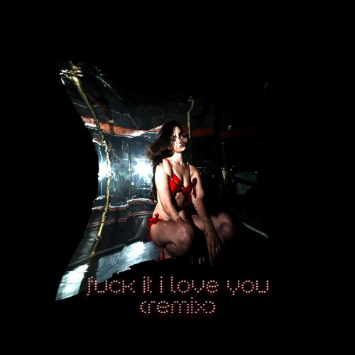 Lana Del Rey - Fuck it I love you (remix)