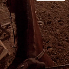 عبدالعزيز الضويحي - شكراً