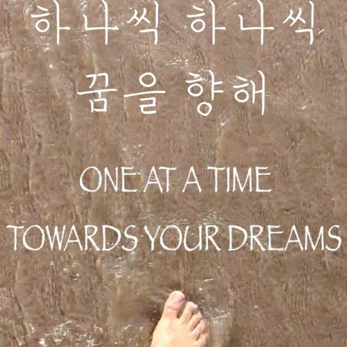 꿈을 향해