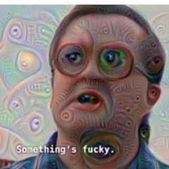screechy screechy