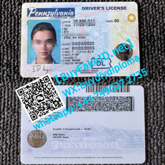 办宾夕法尼亚州驾照 宾州REAL ID 高仿宾州驾照 国际ID办理包交付