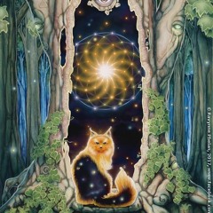 Set’s DarkPsy (Forest) ☪️