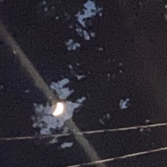 WILLITMATTERINTHEEND