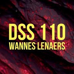 DSS 110 | Wannes Lenaers