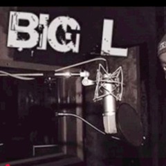 Big L - Tony Touch freestyle (remix)
