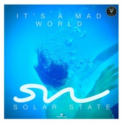 solar state - It's A Mad World