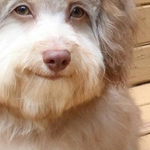 glacier - deltarune (diddyblud short mix)