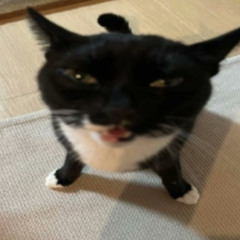 svlsz