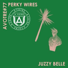 Avotre Radio 007 | Perky Wires