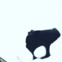ai ai ai
