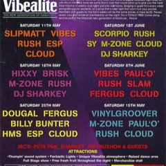Vinylgroover - Vibealite- Palace Of Dance - 1996