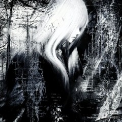 🦢