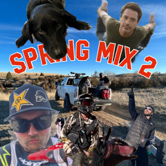Springmix 2