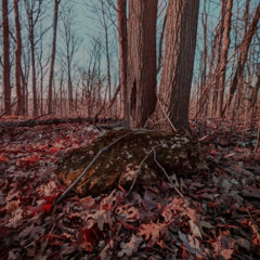 starlit sunshine (v2)