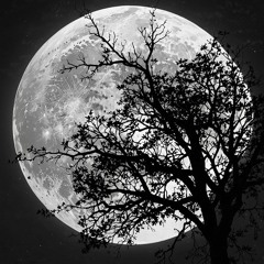 Maybe On The Moon
