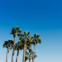 walking on the beach