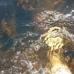 Wasserwege