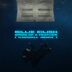Billie Eilish - BIRDS OF A FEATHER (KADWELL Remix) ** FREE DOWNLOAD **