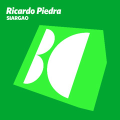Ricardo Piedra - Cebu (Original Mix)