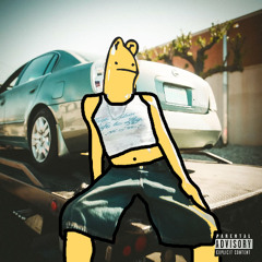 NISSAN ALTIMA (Brothwood Flip)