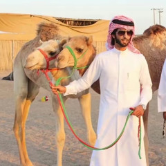 ‎⁨لفاني السهر   ||   خالد المري